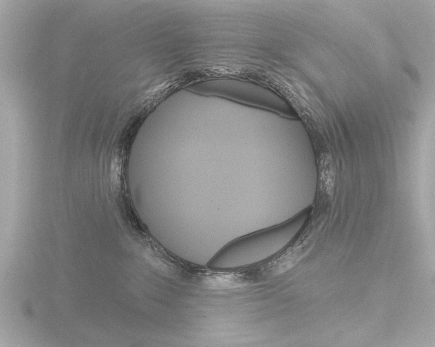 X0000116850235200912211124