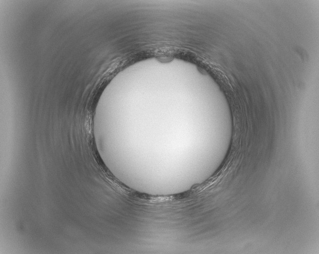 X0000116850240200912211124