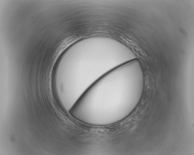 X0000116850242200912211121