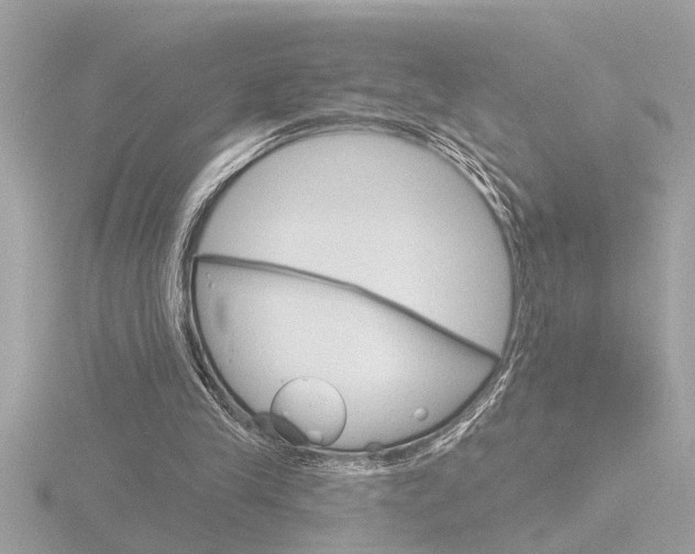 X0000116850245200912211122