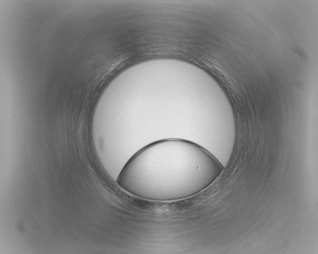 X0000116850264200912211122
