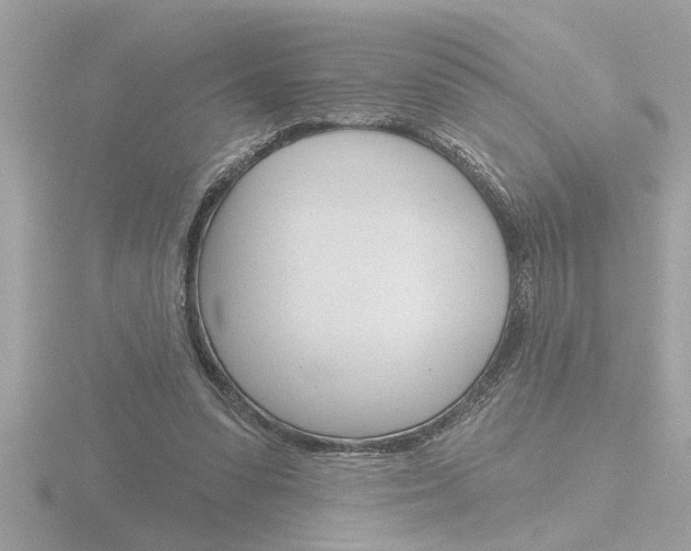 X0000116850303200912211120
