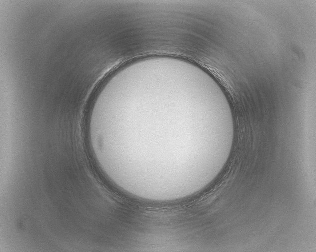 X0000116850304200912211120