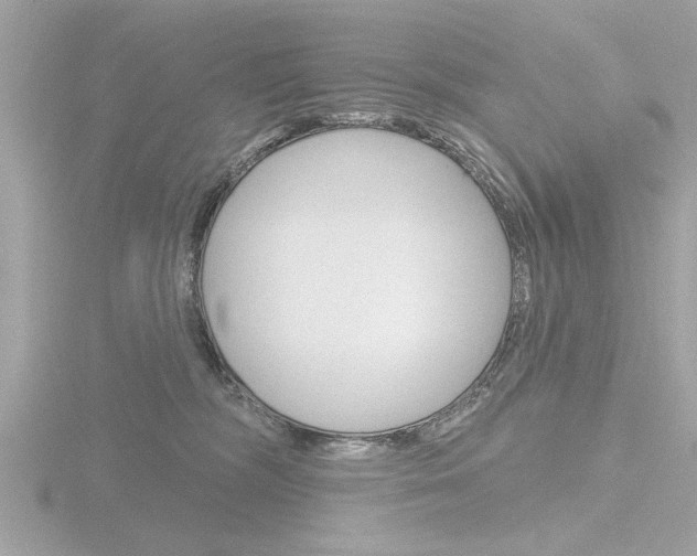 X0000116850326200912211119