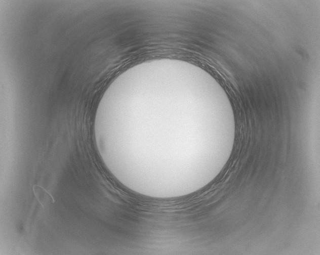 X0000116850328200912211119