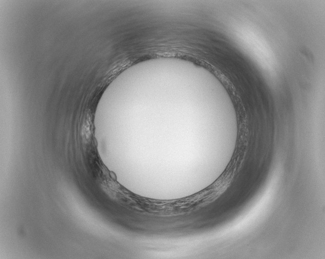 X0000116850334200912211119