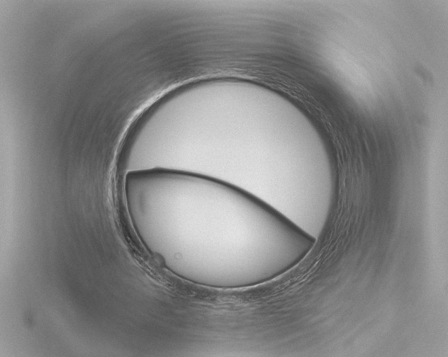 X0000116850388200912211115