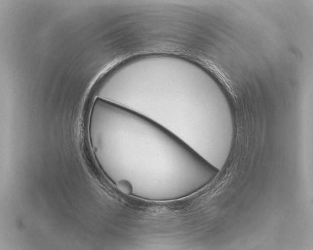 X0000116850392200912211115