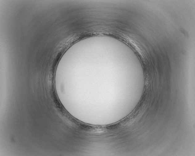 X0000116850402200912211114