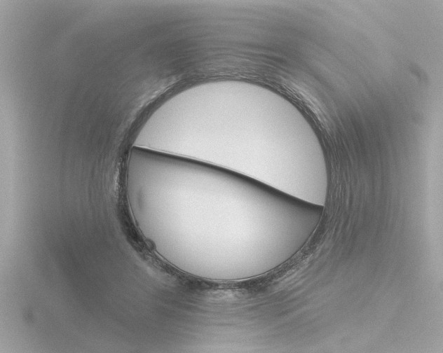 X0000116850404200912211114
