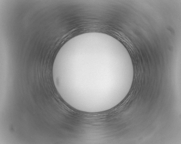 X0000116850425200912211113
