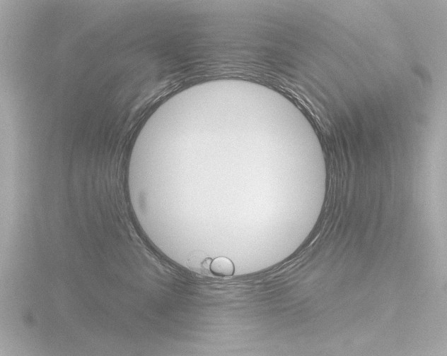 X0000116850427200912211113