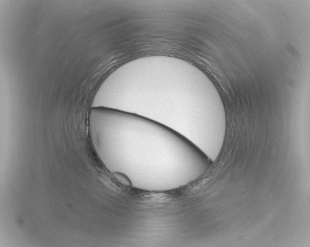X0000116850428200912211113