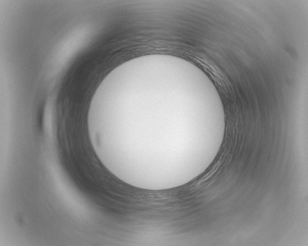X0000116850429200912211113