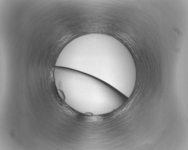 X0000116850432200912211113