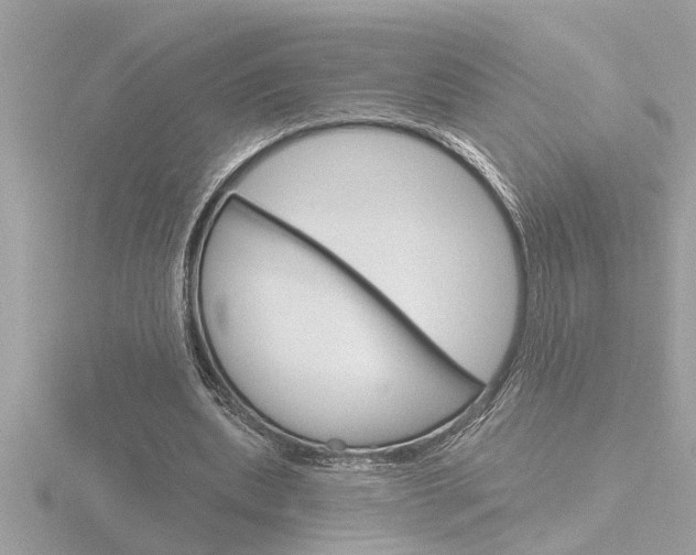 X0000116850439200912211112