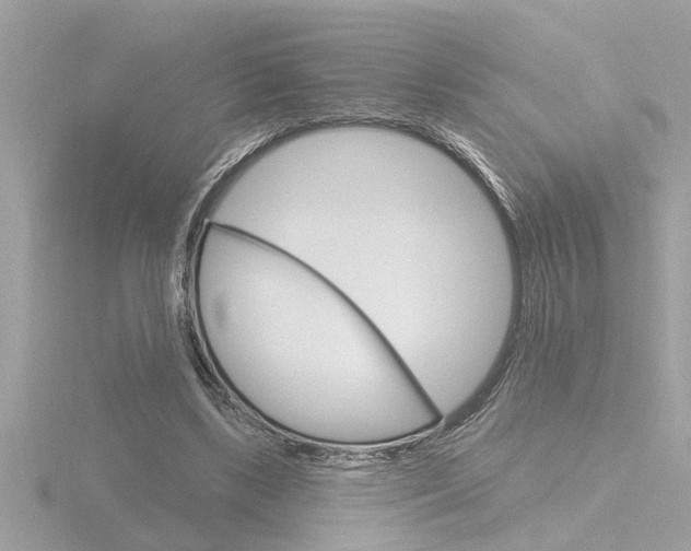 X0000116850443200912211112