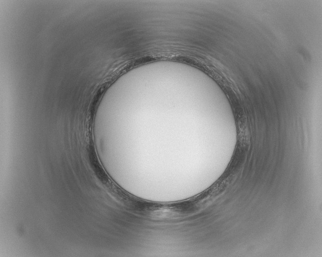 X0000116850460200912211112