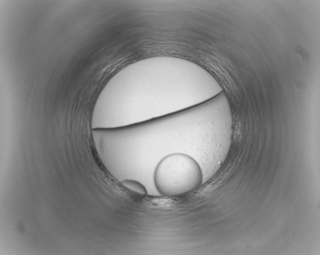 X0000116850478200912211113