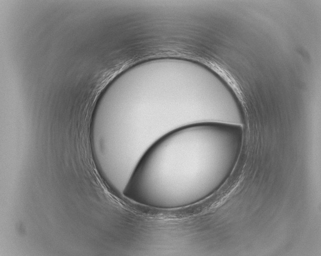 X0000116850481200912211111