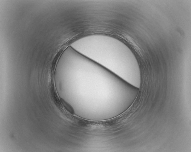 X0000116850500200912211110