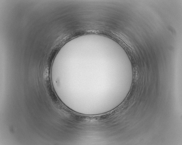 X0000116850502200912211110