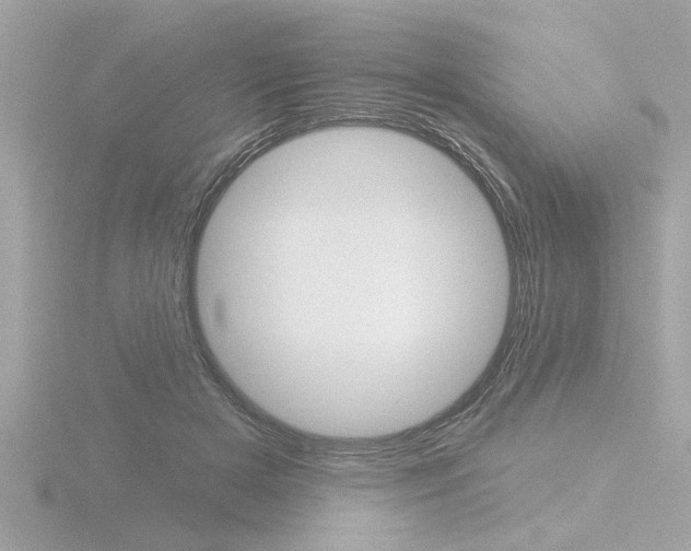 X0000116850505200912211110