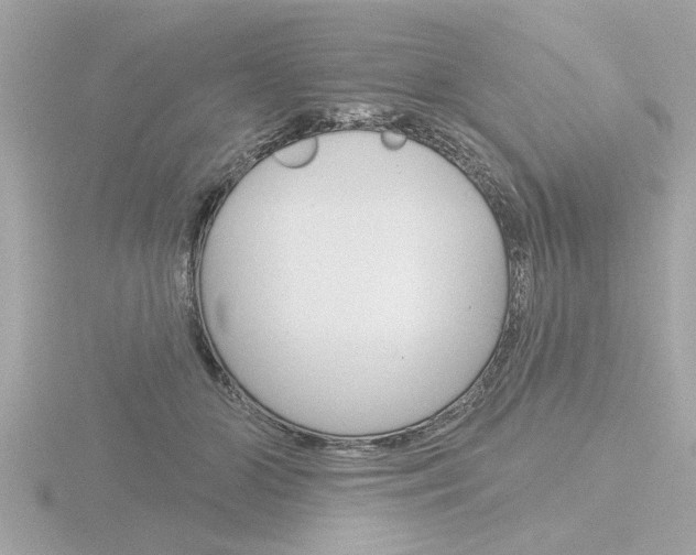 X0000116850510200912211110