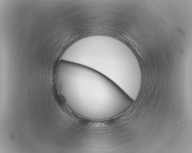 X0000116850512200912211110