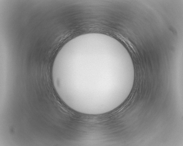 X0000116850517200912211110