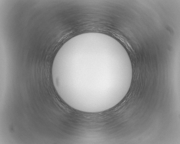 X0000116850521200912211109
