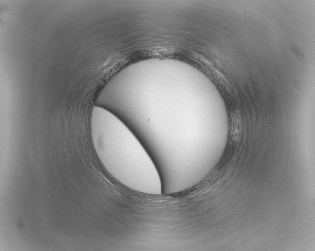 X0000116850523200912211109