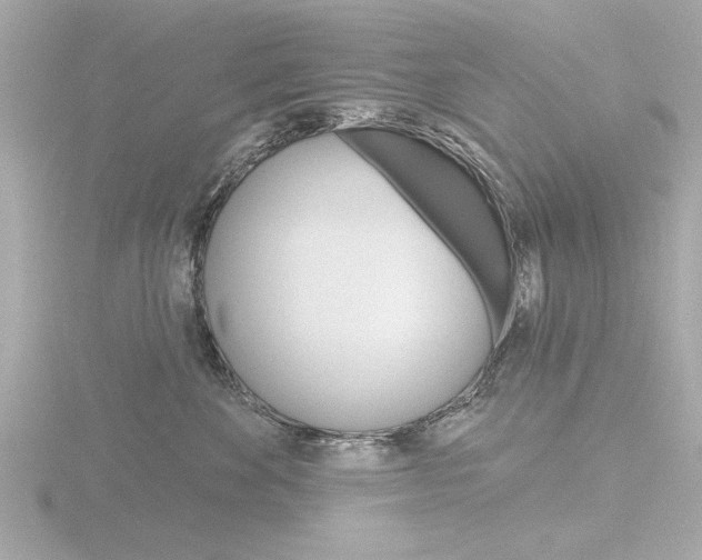 X0000116850524200912211109