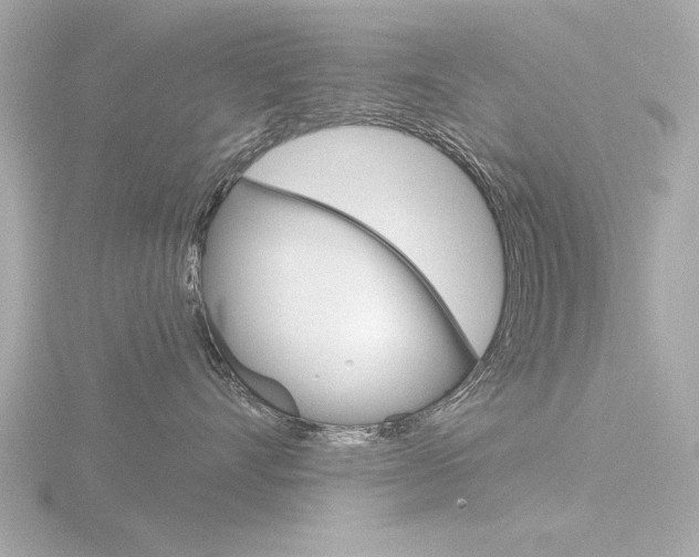 X0000116850528200912211109