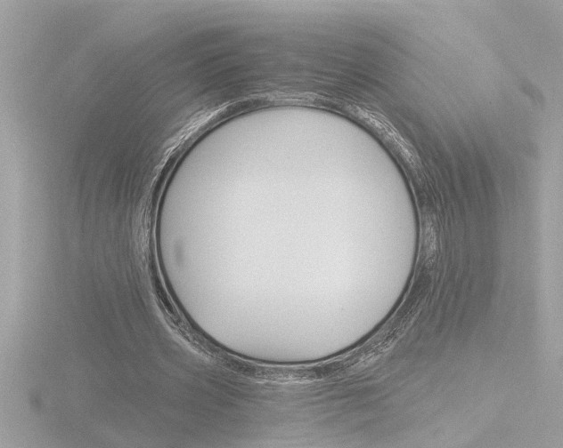 X0000116850533200912211107