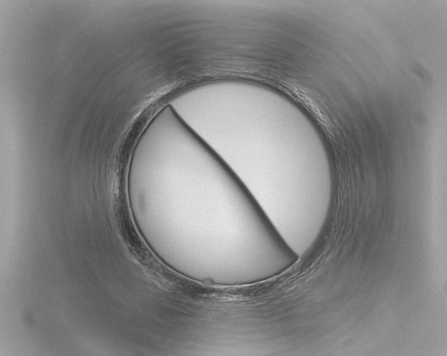 X0000116850539200912211108