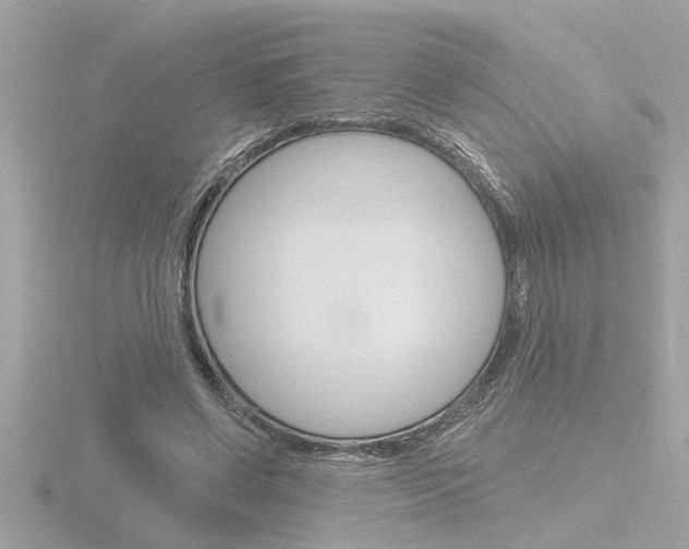 X0000116850542200912211108