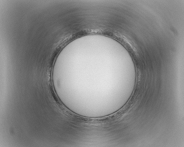 X0000116850545200912211108