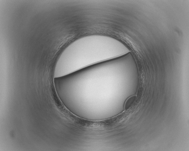 X0000116850546200912211108