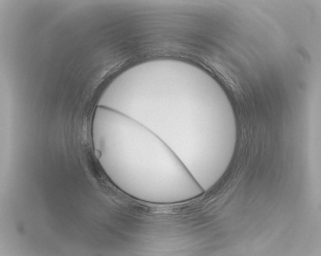 X0000116850547200912211108
