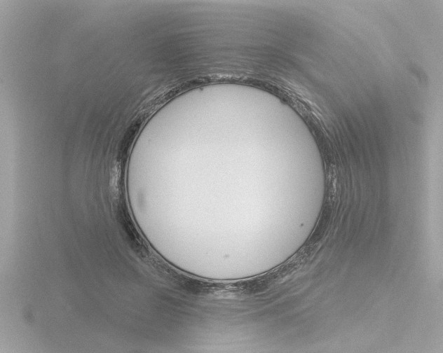 X0000116850550200912211108