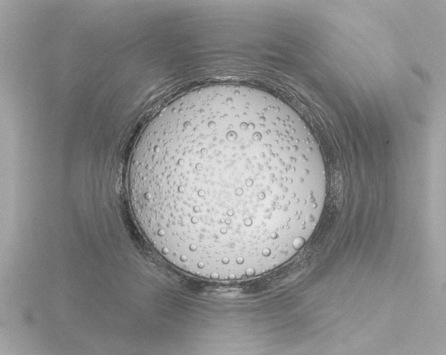 X0000116850554200912211108