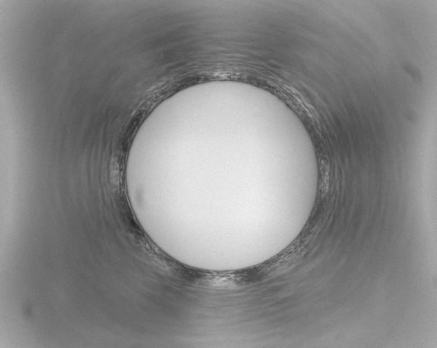 X0000116850569200912211109