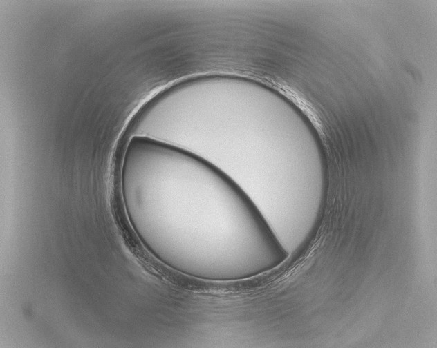 X0000116850580200912211107