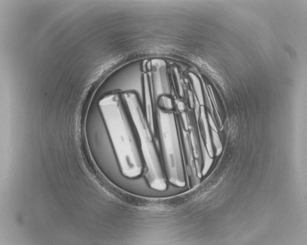 X0000116850581200912211107