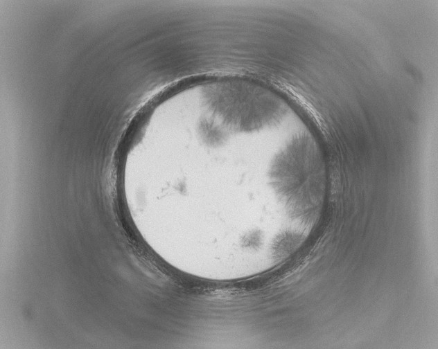 X0000116850584200912211107
