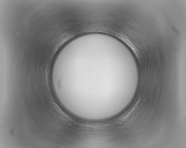 X0000116850585200912211107