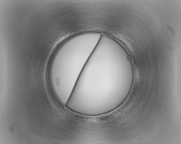 X0000116850587200912211107