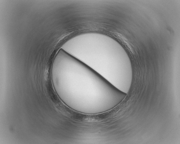 X0000116850596200912211106