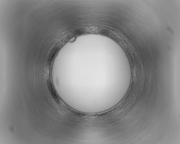 X0000116850602200912211106
